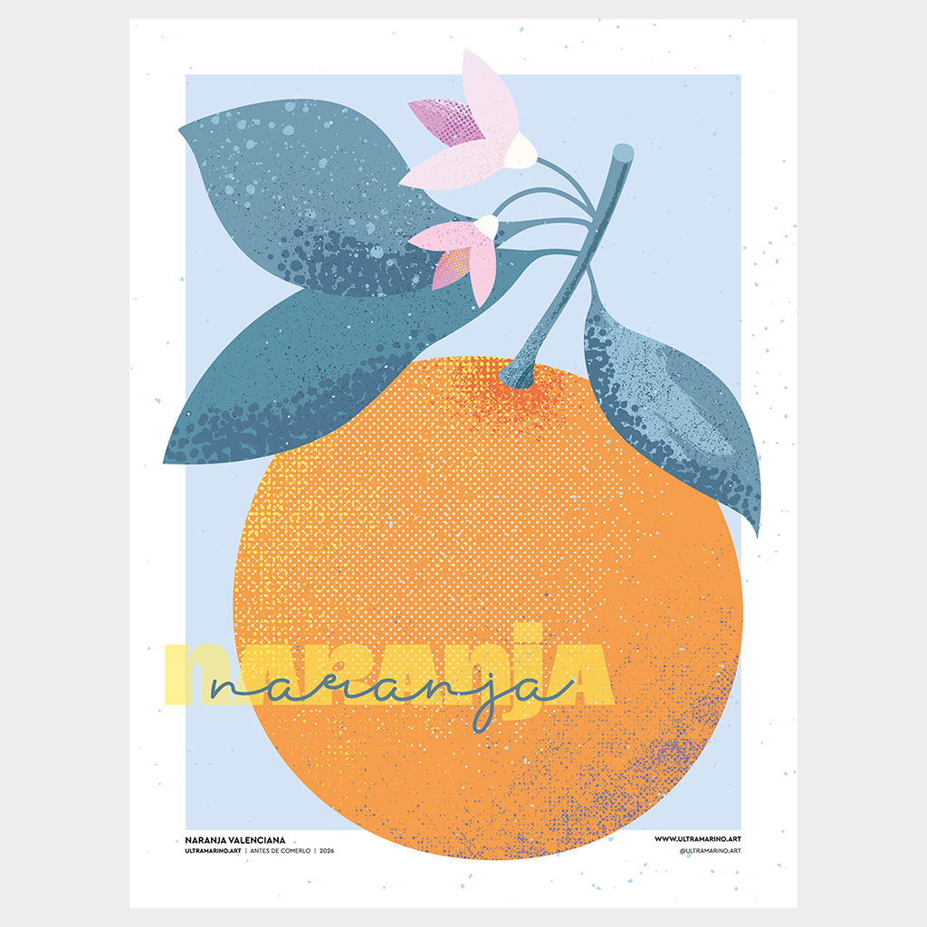 Lámina ilustrada "Naranja valenciana": naranja con hojas y flor de azahar